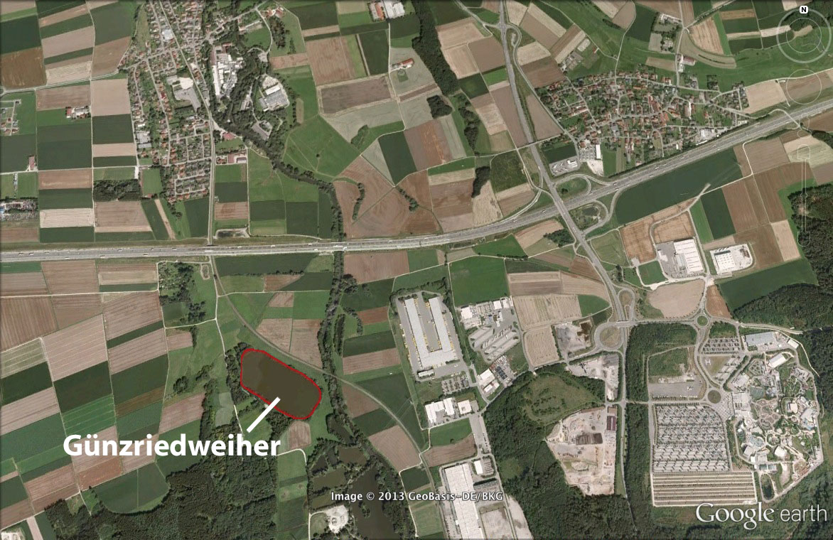 Guenzriedweiher